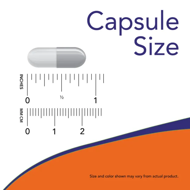 0105_capsule_size.webp