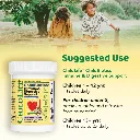 multi-vitamin-gummies_ba133d03-0288-4be7-932a-6ed971fd0bf0_2048x2048.webp